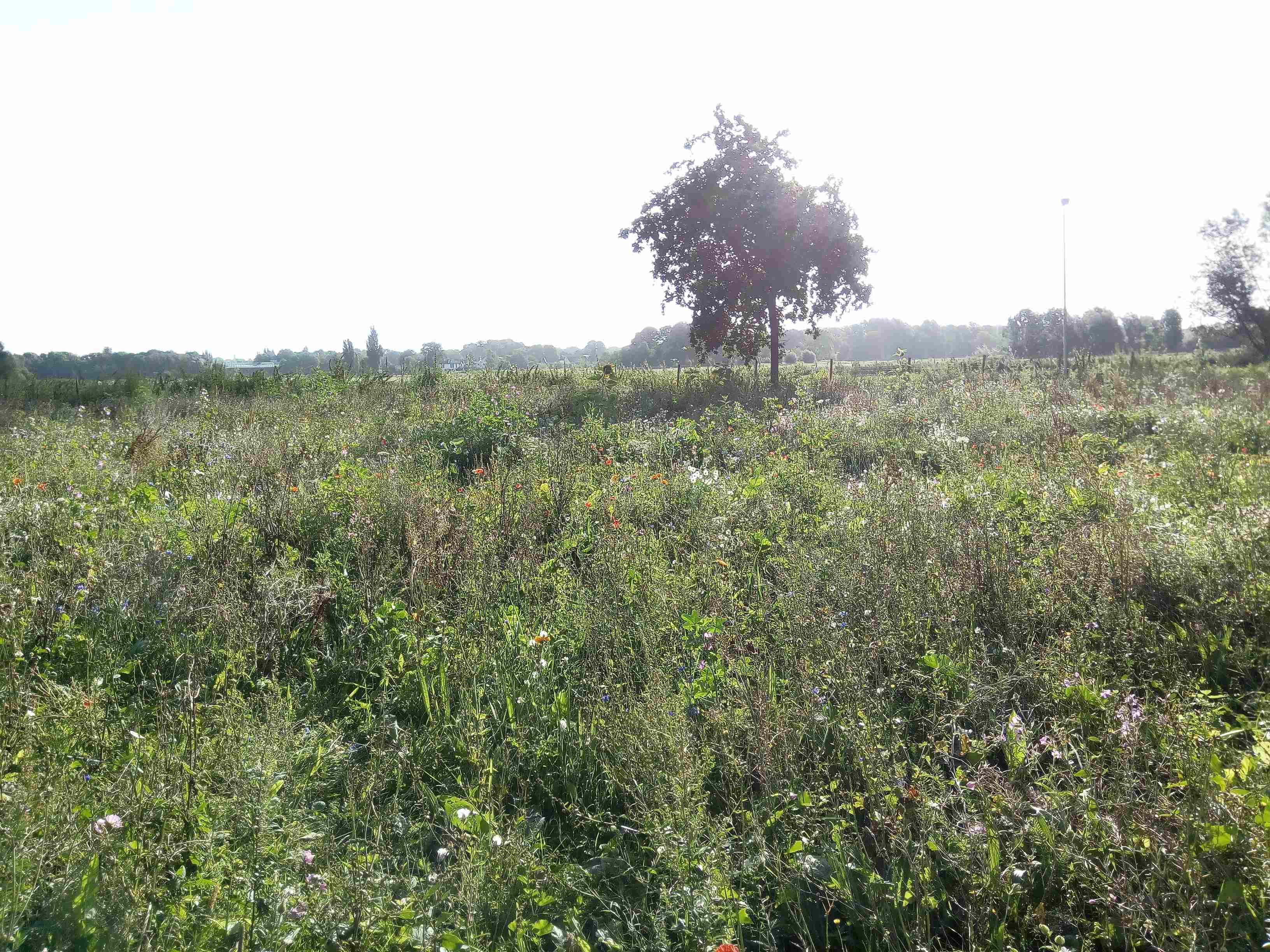 Biotop