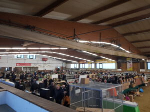 Boerse_29.02.2023 (2)