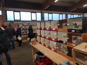 Boerse_29.02.2023 (20)