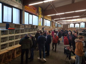 Boerse_29.02.2023 (9)